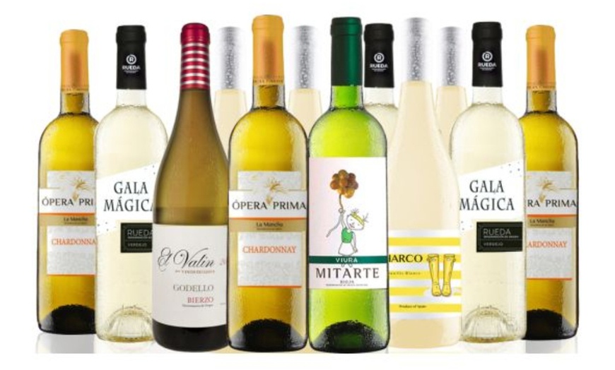 Image 1: Collection of 12 Bottles of White Wines