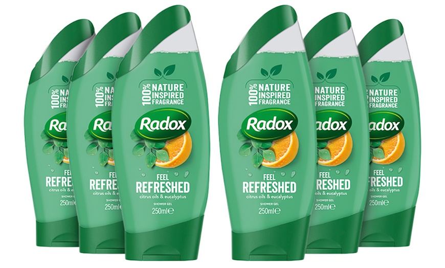 Image 10: Radox Shower Gels 250ml