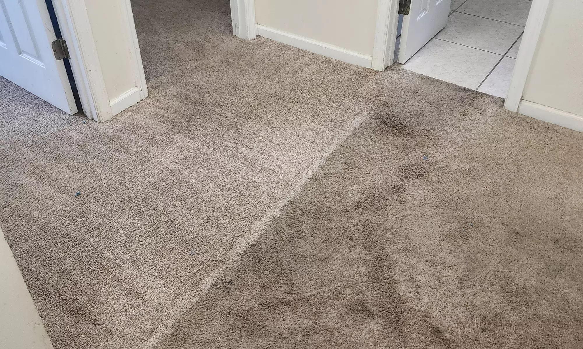 Get your carpets looking fresh with cleaning for 3 or 5 rooms
