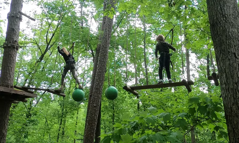 $39 for Five-Course Treetop Challenge Package for One at Carolina Treetop Challenge (13% Value) - Primary Image