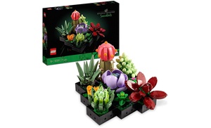 LEGO Creator Expert Botanical Collection Succulents Display Model