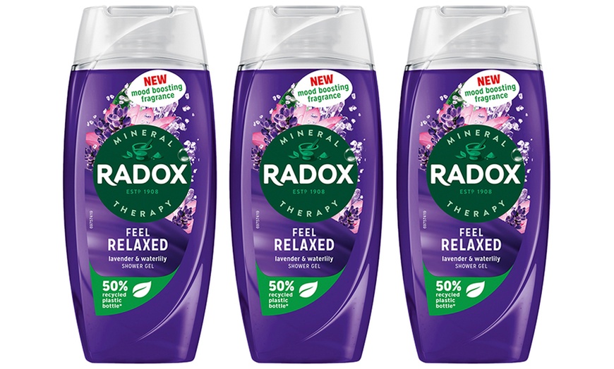 Image 12: Radox Mineral Therapy Shower Gel with Mood-Boosting Fragrance