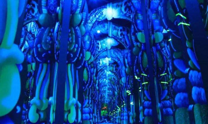 General Admission for 1, 2 or 4 People to Ripley's Adventure Maze 