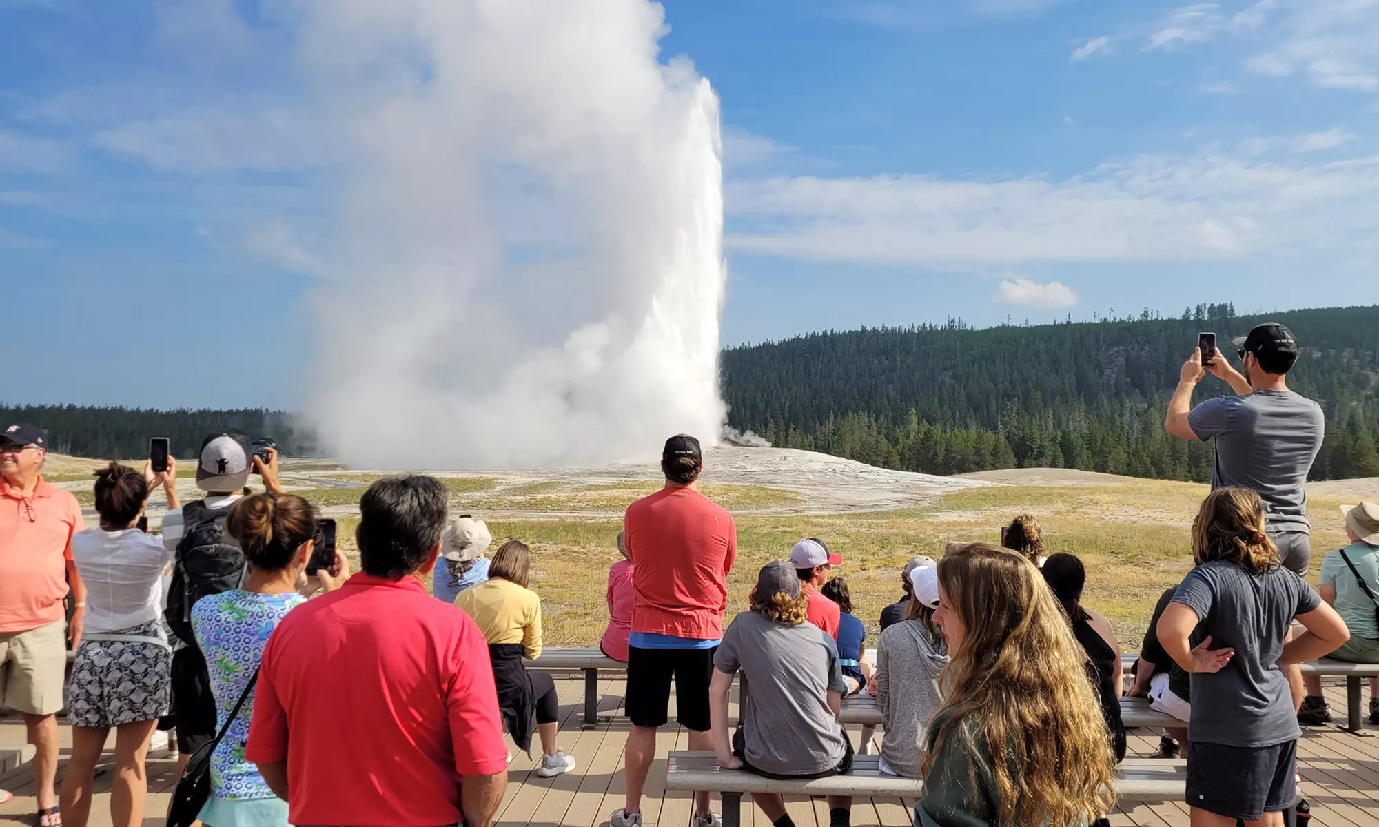 Explore Yellowstone's Full Day Tour with Lunch