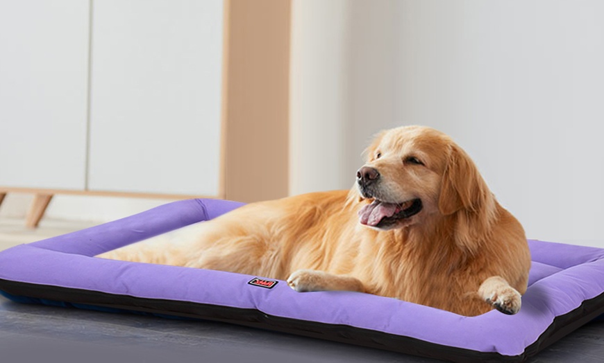 Image 3: Purple Canvas Pet Bed