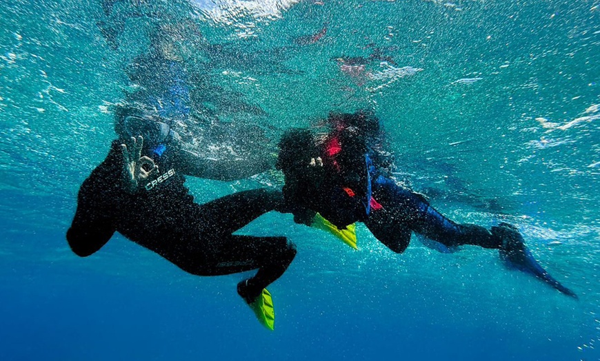 Image 2: Dive into Fun: 4-Hour Snorkelling and Island Adventure for 1, 2 or 4