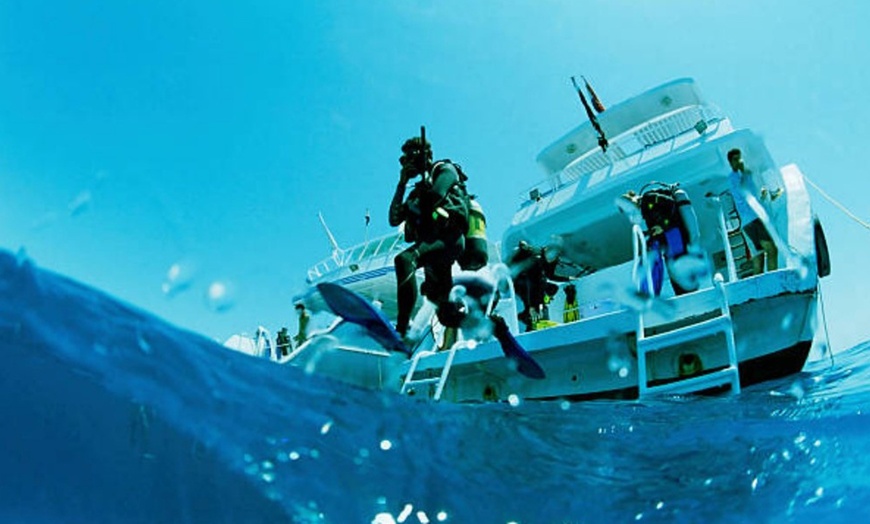 Image 7: Bautismo de buceo en barco hundido para 1 o 2 personas con fotos