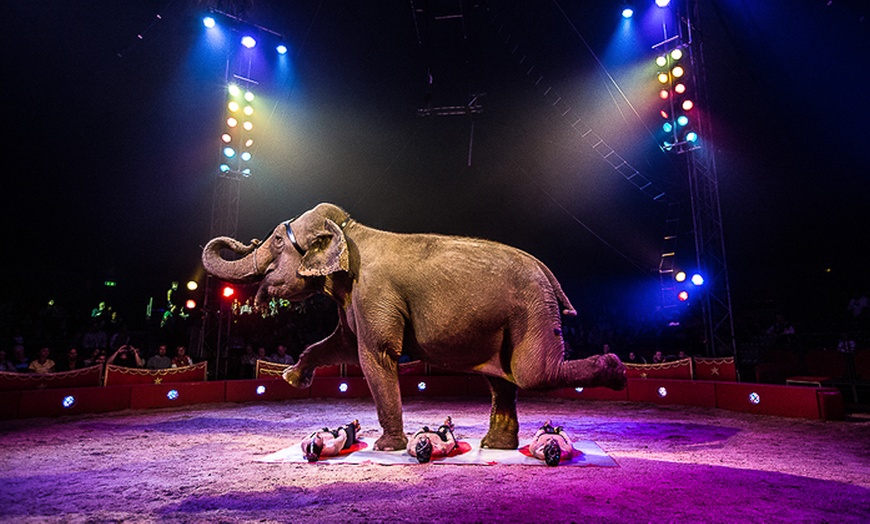 Image 3: Tournée exclusive 2017 du cirque d'hiver Bouglione 