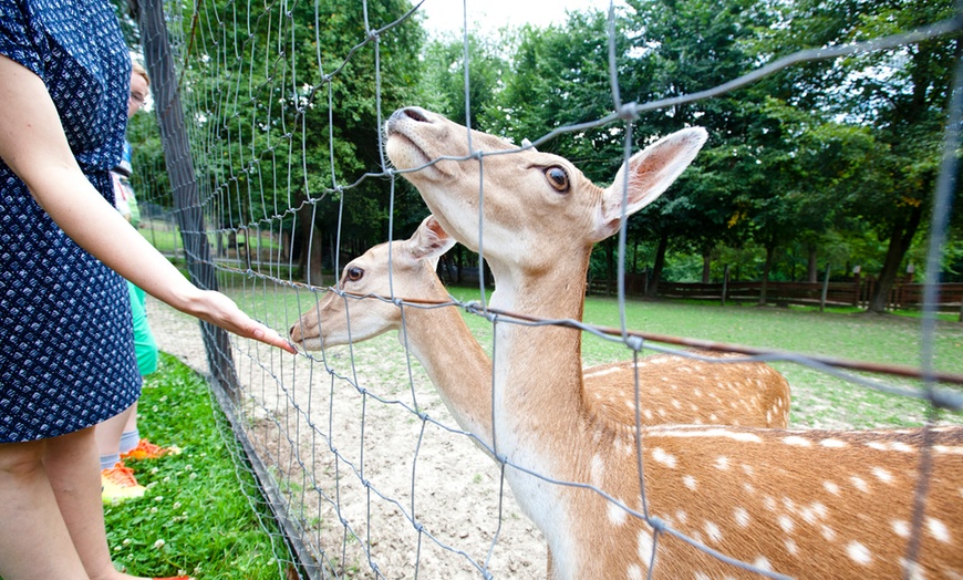 Image 2: Do 30% zniżki na Zoo/Park safari w Gospodarstwo Agroturystyczno – Edukacyjne „Zwierzyniec Kopytkowo”