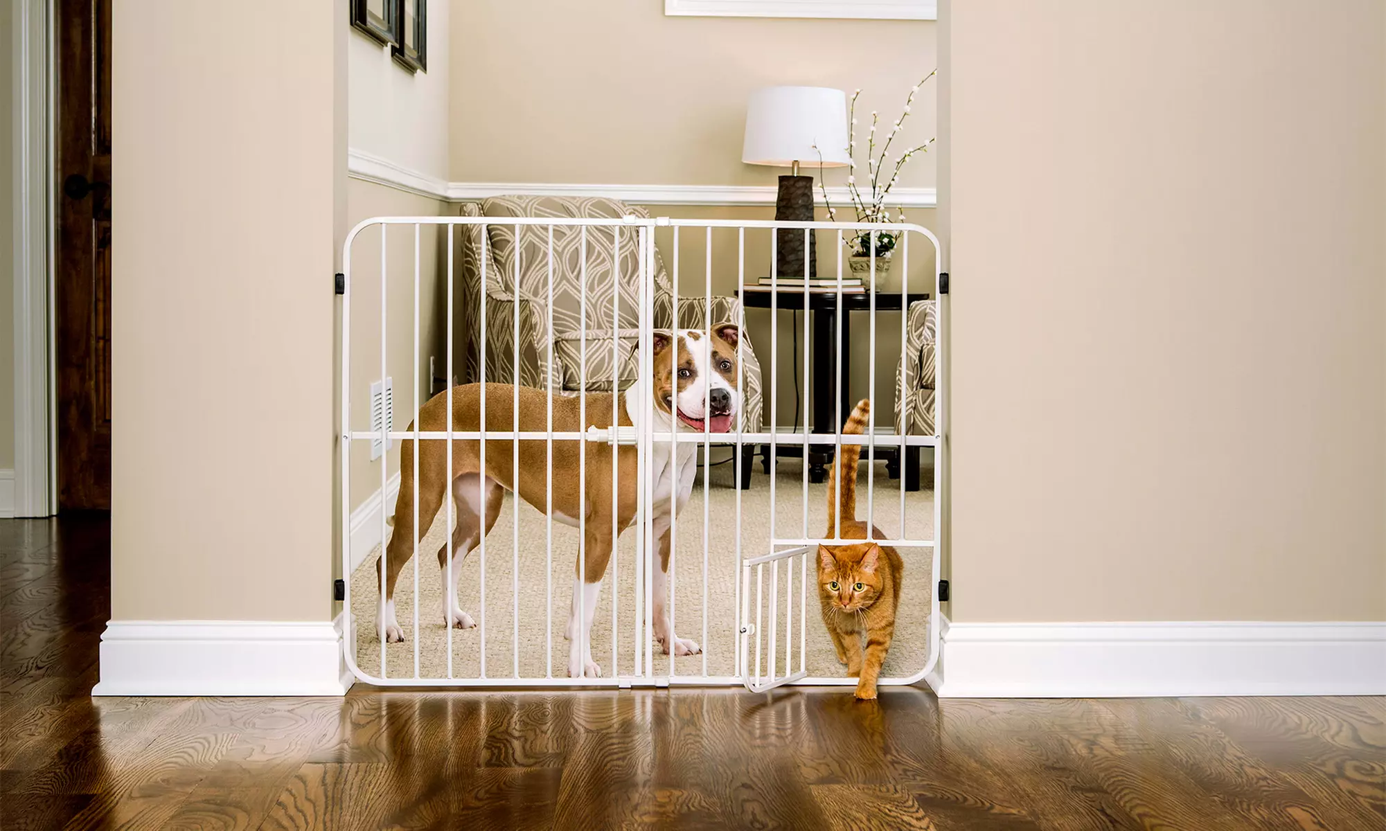 Carlson Big Tuffy Expandable Gate with Small Pet Door - Primary Image