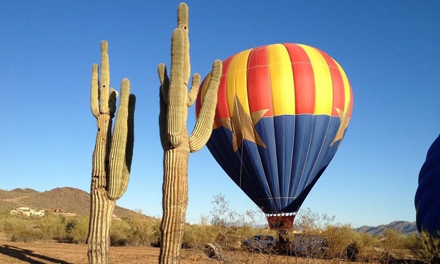 What to expect media