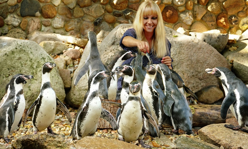 Image 3: Tageskarte Weltvogelpark Walsrode