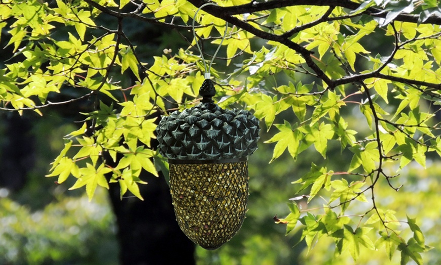 Image 5: One or Two Acorn-Shaped Bird Feeders