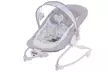 Lionelo Zoe Baby Swing Chair With Free Delivery - Second Medium
