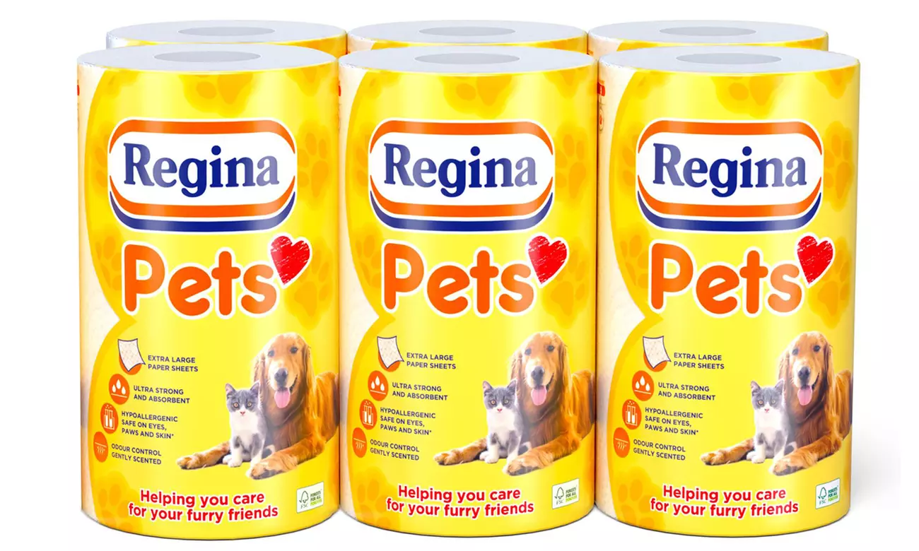 Six-Pack of Regina Pets Paper Towel - Primary Image