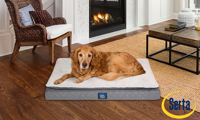 serta ortho mattress top pet bed