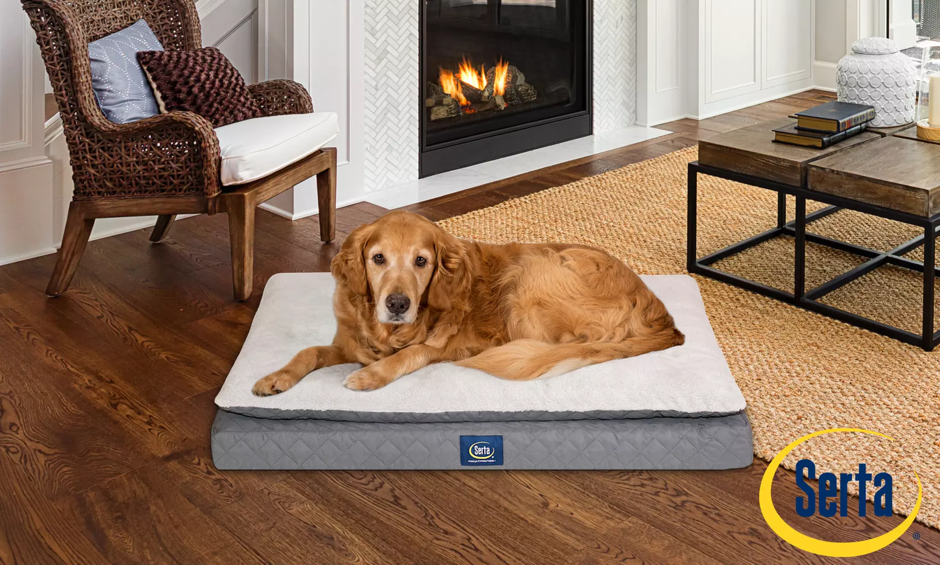 Serta Ortho Mattress Top Pet Bed - Primary Image