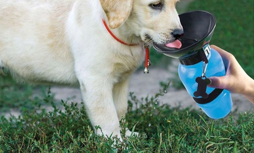 Image 1: 2-in-1 Pet Water Bottle and Bowl