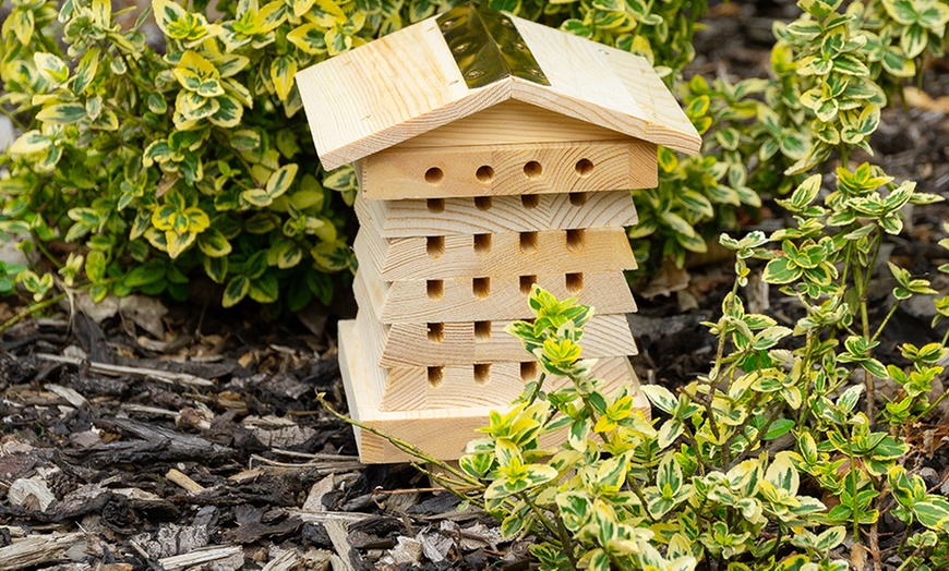 Image 8: Wooden Bee House