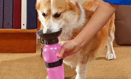 Borraccia portatile per cani con vaschetta e sistema di riempimento a pressione disponibile in 3 colori