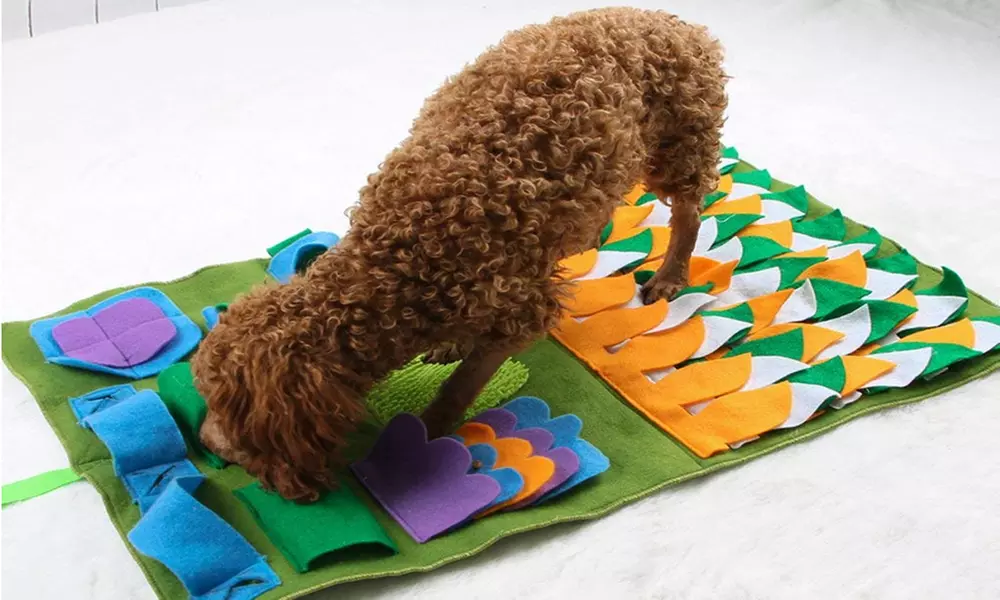Tapis antidérapant de jeu éducatif pour chiens - Primary Image