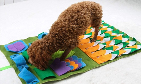 Tapis antidérapant de jeu éducatif pour chiens