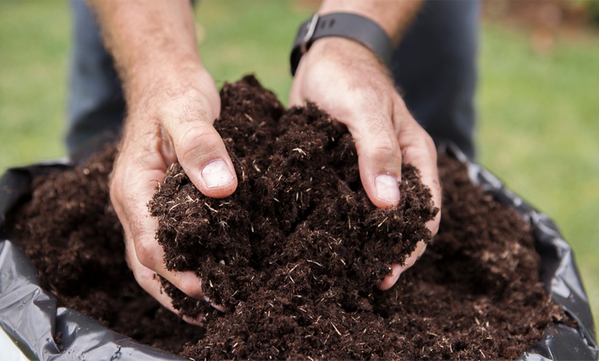 Image 1: Up to 100L Multipurpose Compost