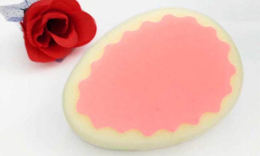 Image 3: Hair Removal Sponge