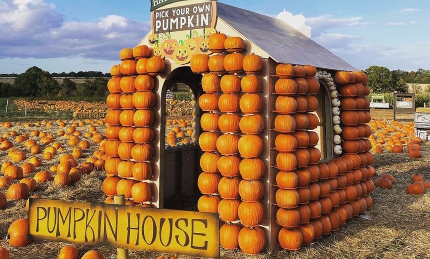 Image 1: Entry with Halloween Maze to Hatters Farms Pumpkins