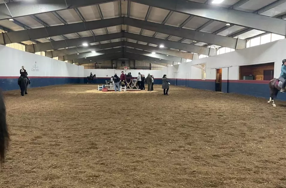 Up to 51% Off on Horse Back Riding - Training at COLLEEN M FITZPATRICK - Second Medium