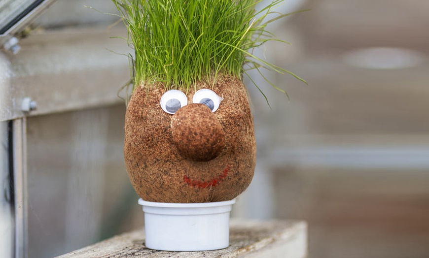 Image 3: Tobar Mr Grasshead Toy