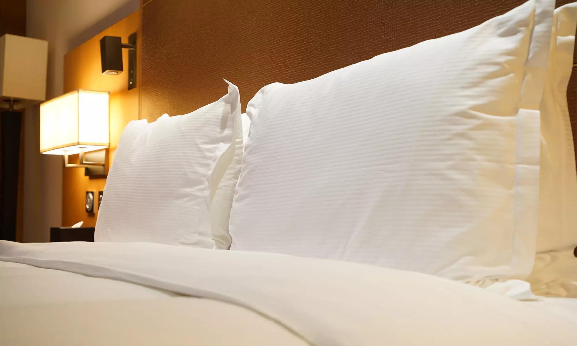 1 o 2 almohadas viscoelásticas con fibras de bambú - Primary Image