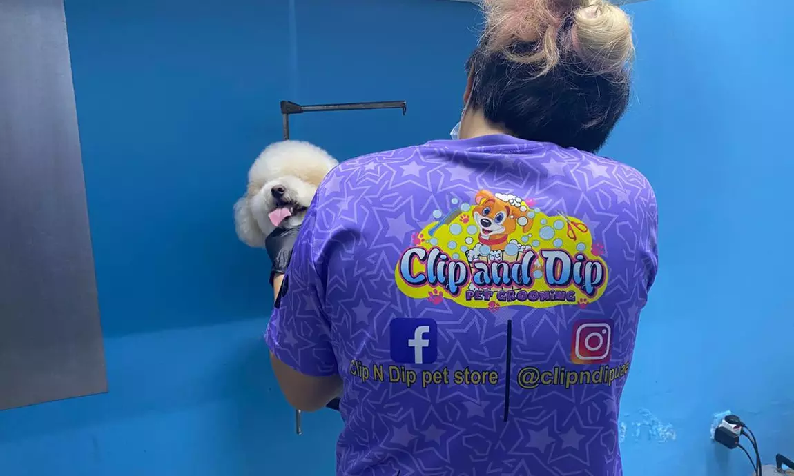 Get Full Grooming for Cats or Small, Medium, Large or Extra Large Dogs