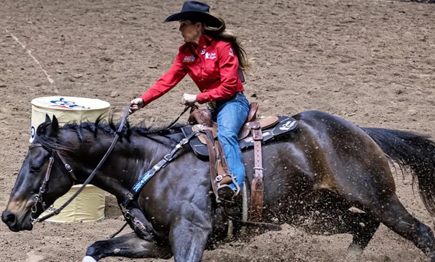 Image 8: Durham County Show 2025 at Thornley Hall Farm | July 5 and 6, 2025