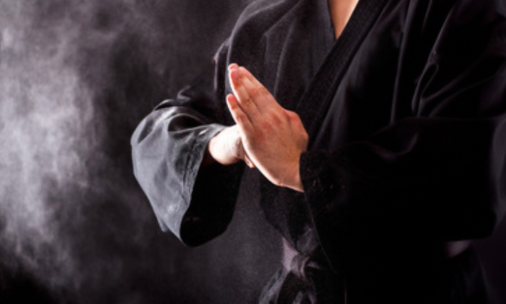 Art Martial: cours de Thaiho Justu