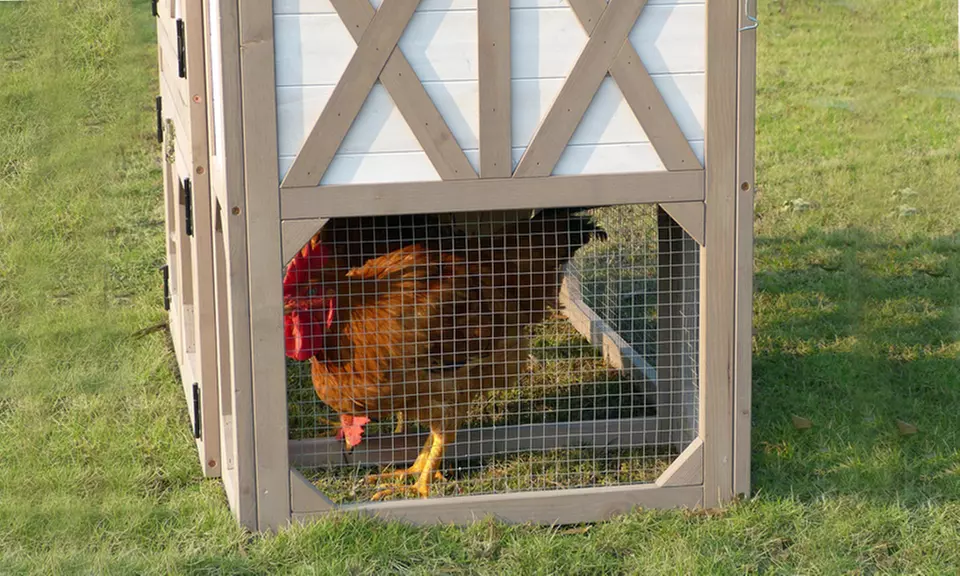 Country-Style Chicken Coop - Image 4
