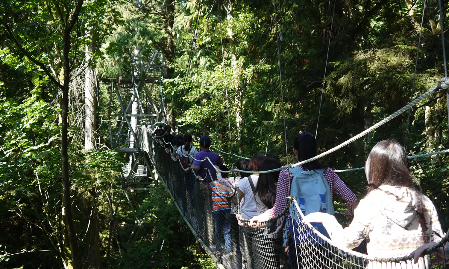 Admission to UBC Botanical Garden and Greenheart TreeWalk for One Person or a Family (Up to 43% Off)  - Second Medium