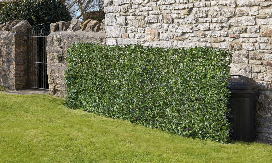 Image 7: Three or Six Meters of Rolled Ivy or Laurel Fence