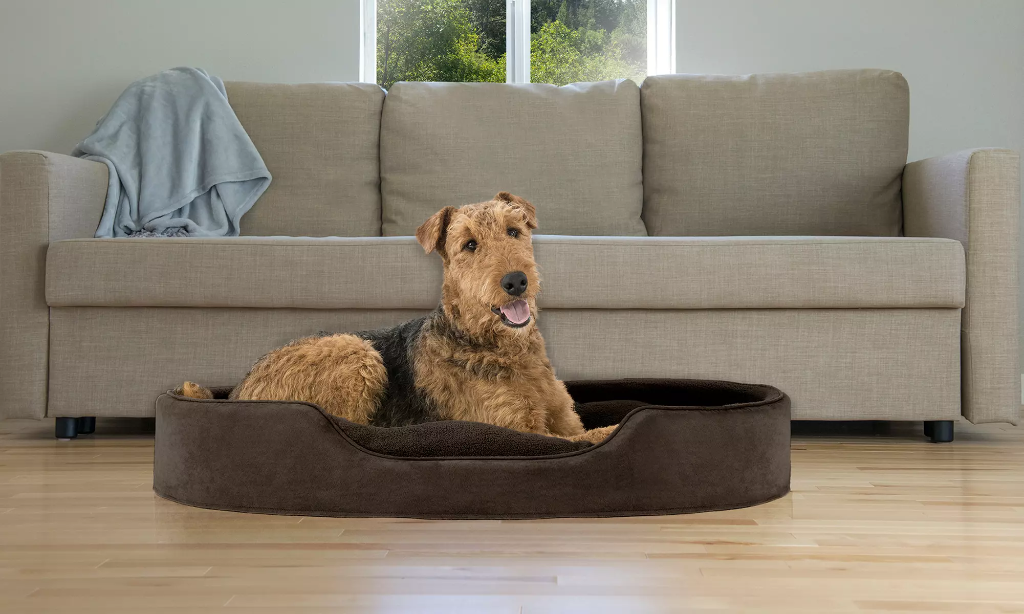 FurHaven Pet Oval Lounger Bed. Multiple Styles Available. - Primary Image