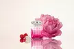 Jimmy Choo Blossom EDP for Women 100ml - Image 2