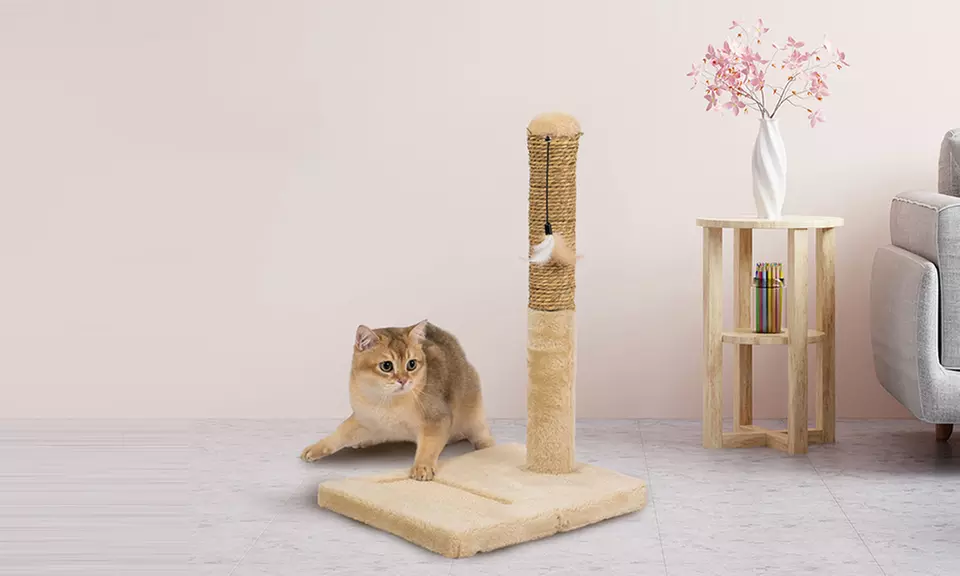 Tiragraffi in sisal naturale con base rinforzata in vari modelli e colori