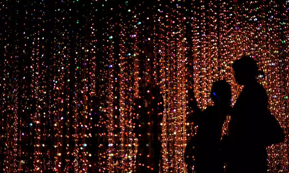 Admission for Two, Valid December 1 - January 7 or Donation to Powell Gardens (Up to 38% Off) - Primary Image