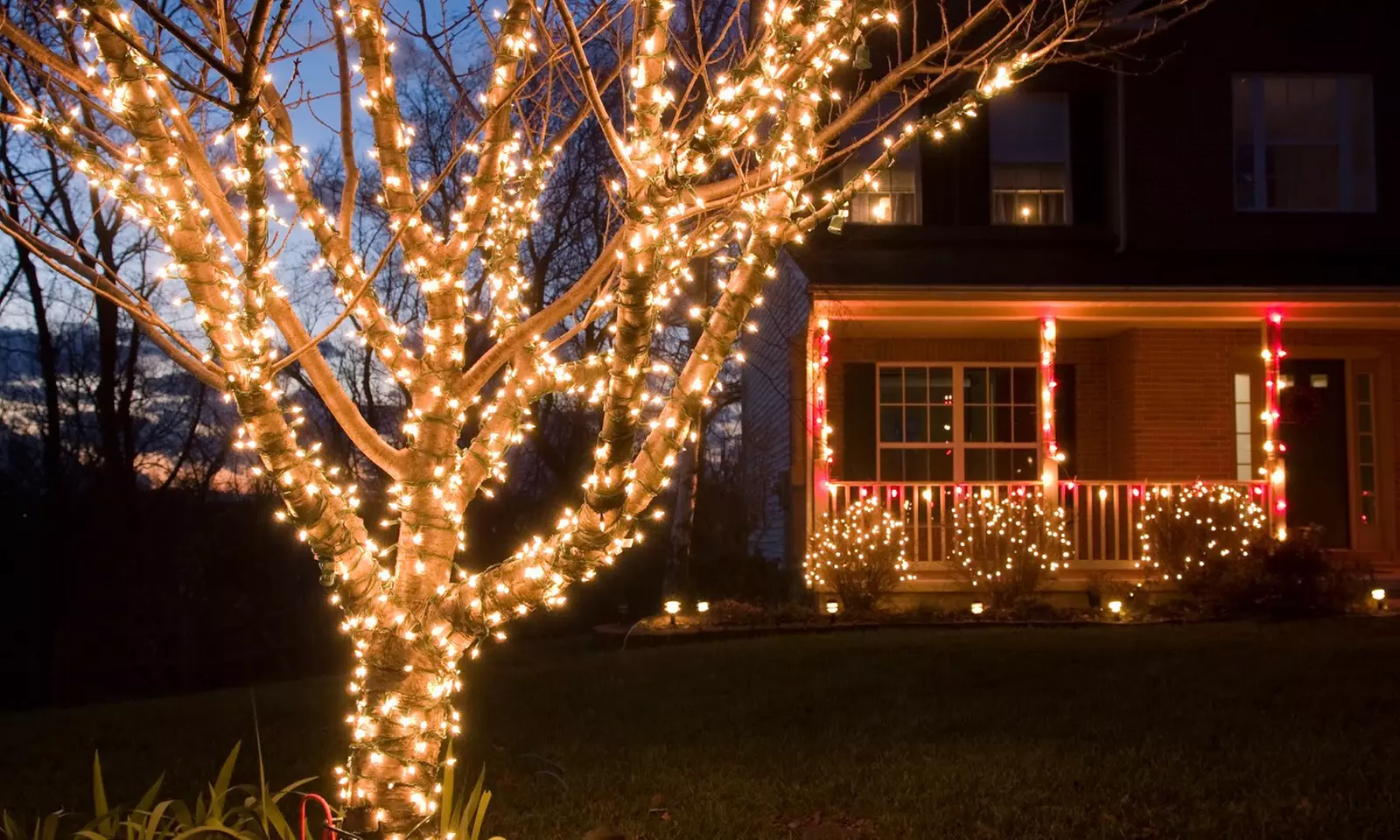 Solar-Powered Summer Lake House 100LED Fairy Lights (1- or 2-Pack) - Primary Image