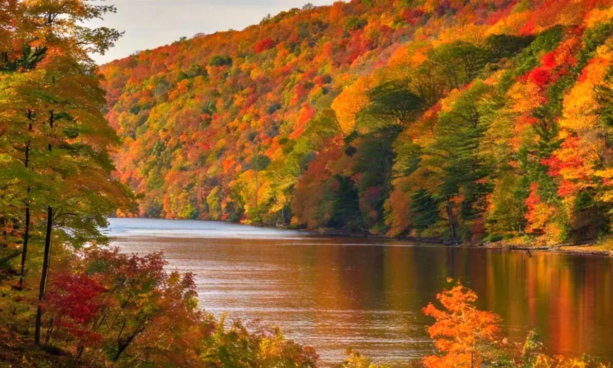 Explore Two and a Half Hour Scenic Fall Foliage Brunch Cruise