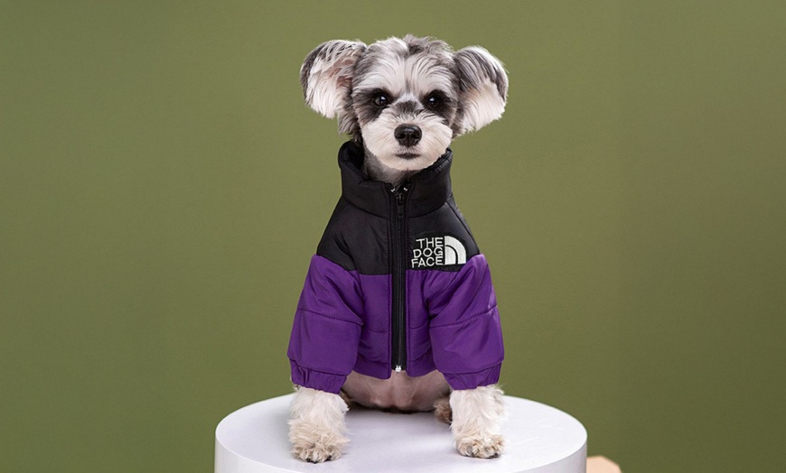 Image 2: Comfortable Winter Pet Jacket