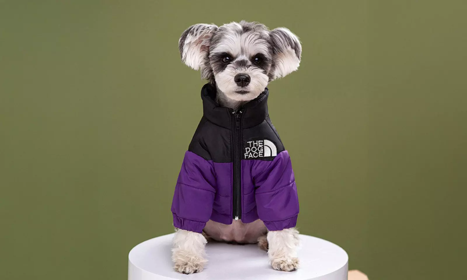 Comfortable Winter Pet Jacket