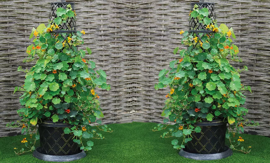Image 1: 1 or 2 Tower Patio Pot with Trellis - Modern Grey or Black with Gold