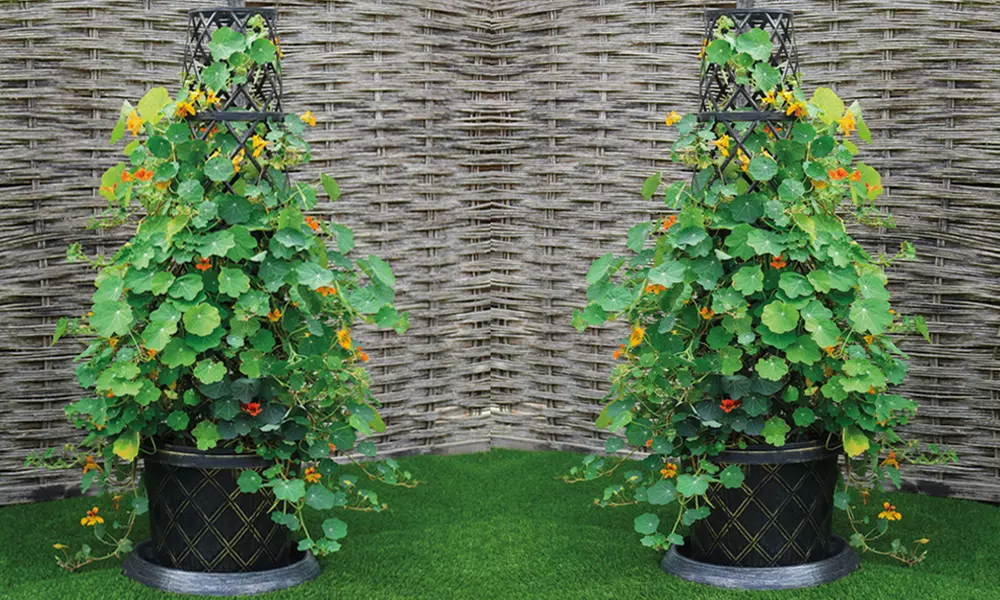 1 or 2 Tower Patio Pot with Trellis - Modern Grey or Black with Gold - Primary Image