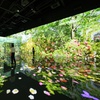 Image 4: Immerse Yourself in a Mesmerizing Fusion of Art, Sound, and Fragrance at ARTE MUSEUM 