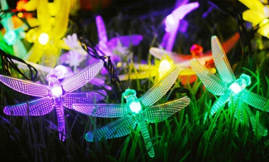 Image 6: Solar-Powered String Lights